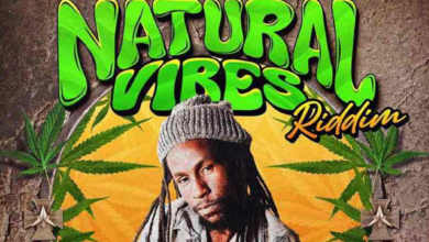 Reggae Vibes Music Natural Vibes Riddim Compilation