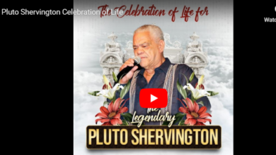 Pluto Shervington Celebration of Life