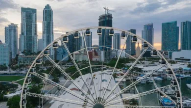 move in Florida High buildings and a Ferris wheel in Miami